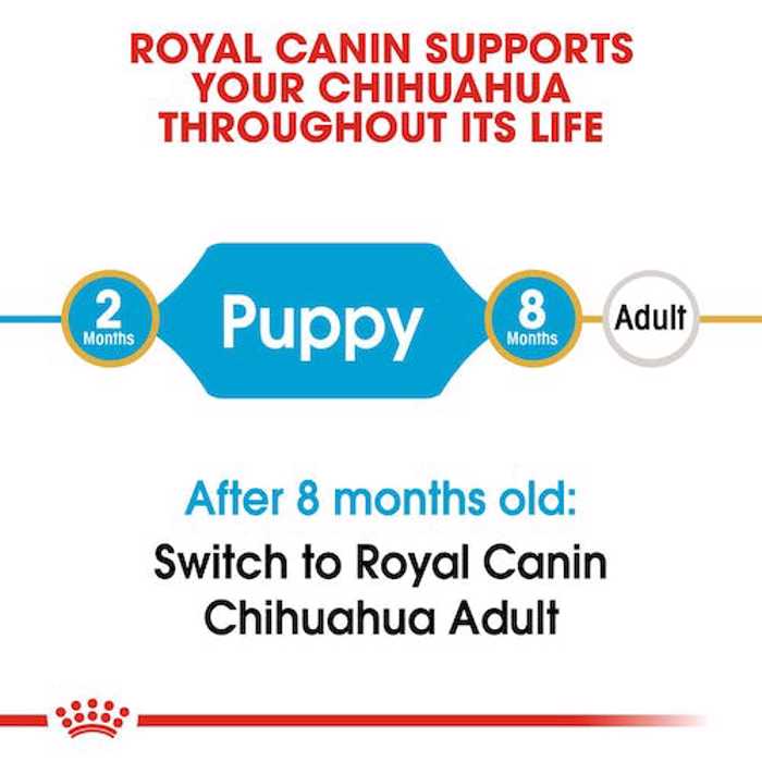 ROYAL CANIN CHIHUAHUA JUNIOR 1.5K ΞΗΡΑ ΤΡΟΦΗ ΣΚΥΛΟΥ ROYAL CANIN CHIHUAHUA JUNIOR 1.5K XIRA TROFI SKuLOu